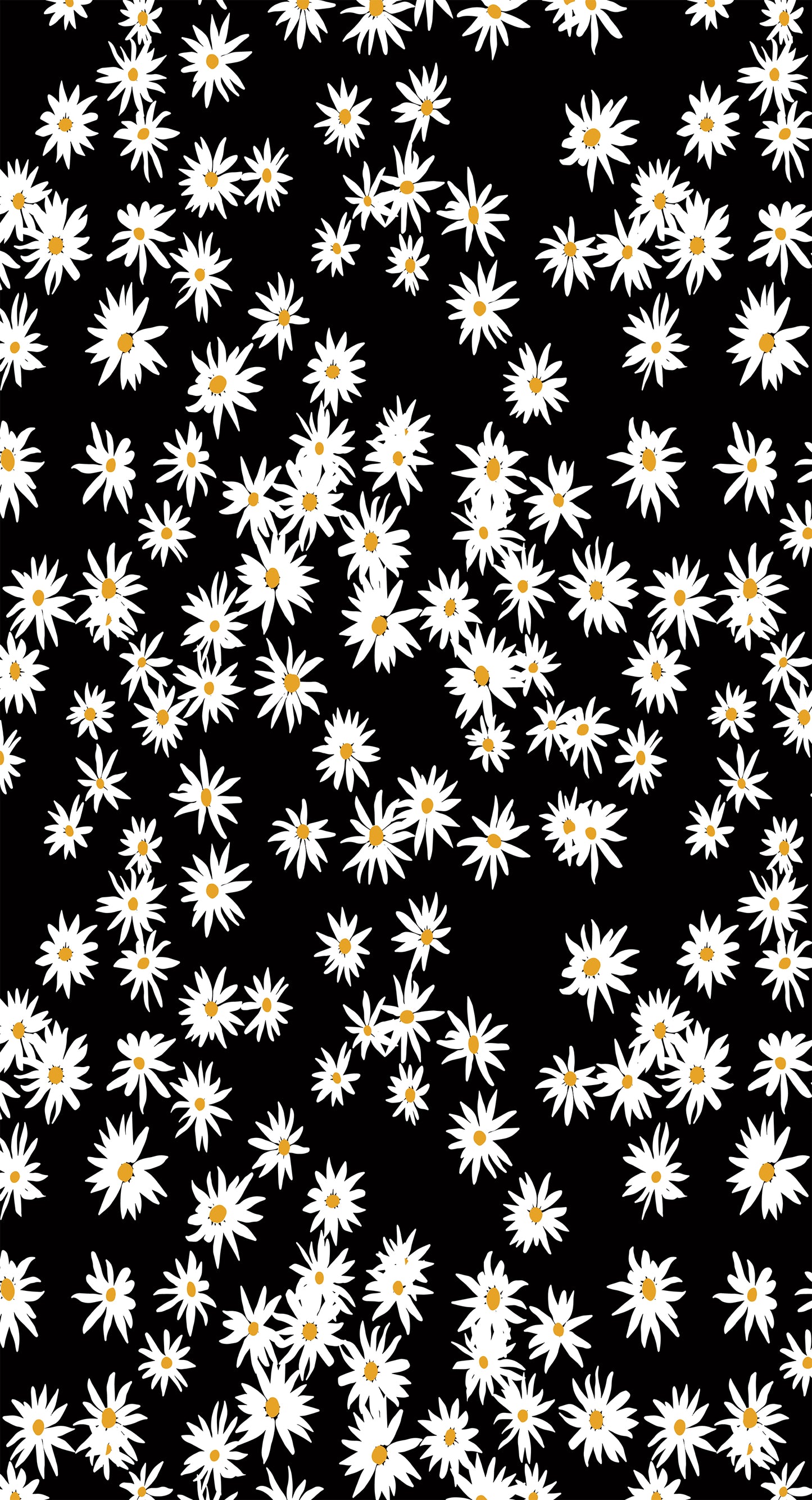 Daisies Black