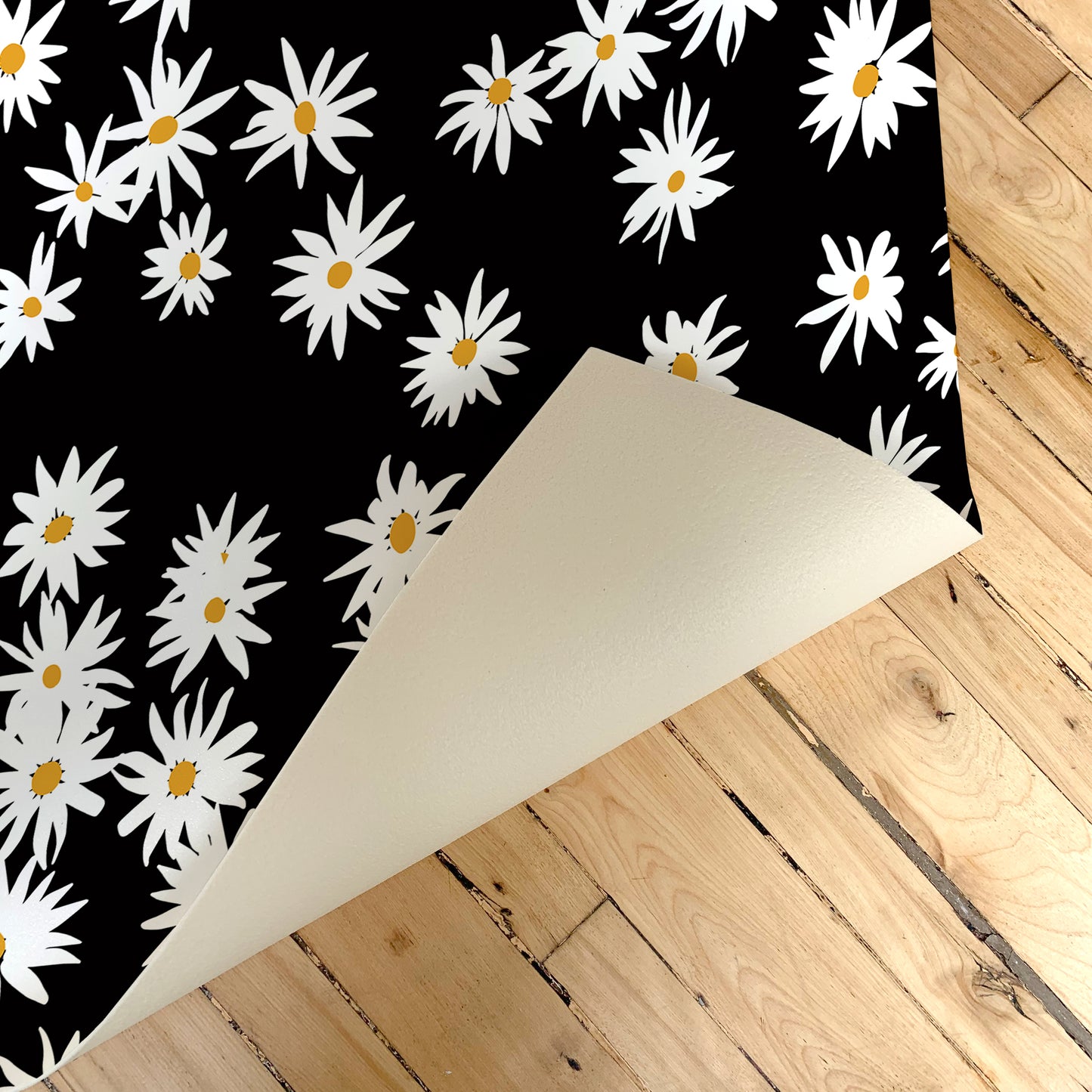 Daisies Black